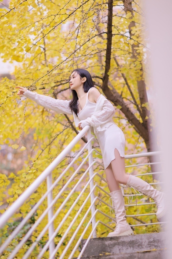 可怜的东西 封面